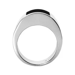 18K White Gold Men's Black Onyx Ring 12.9mm -Luxurman 18k gold mens black onyx ring p 31945 back white 20220426